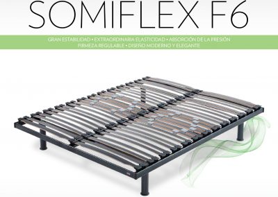 SOMIFLEX-F6-001